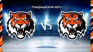 Амур 2011/2 - Амур 2012/1. Товарищеский матч. 01.06.2023. Прямой эфир