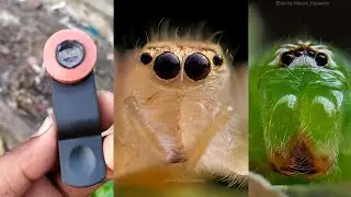 Prosumer Extreme Macro Lens Em9 Sample shots