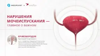 Симптомы нижних мочевыводящих путей: от теории к практике