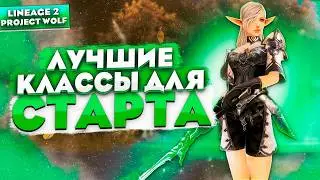 Лучшие классы для старта в Lineage 2 Project Wolf