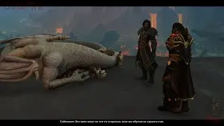 World of Warcraft: Dragonflight - Катсцены: Дракозмеи