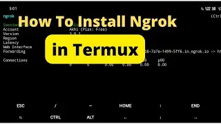 How To Install ngrok in termux