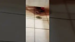 Loudest dookie ever 💩