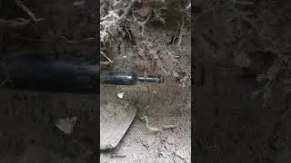 ПИВОВАРНЯ ПОНАРТ КЕНИГСБЕРГ. #короткое #короткоевидео #short #shorts