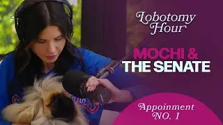 Mochi & The Senate | Lobotomy Hour Appt 1