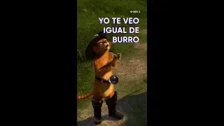 Yo te veo igual de burro | HBO Max | 