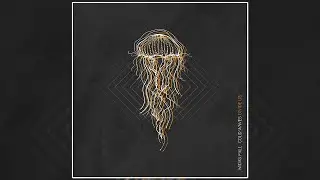 Midas Fall - Cold Waves Divide Us [Album] (2024)