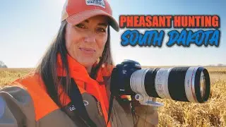 Pheasant Hunting in South Dakota - A1 Al's Pheasant Ranch