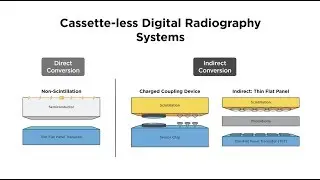 Digital Radiography System Explained (step-by-step)