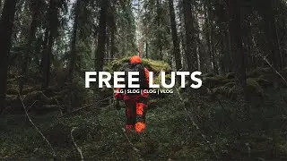 FREE CINEMATIC LUTs (FINAL CUT PRO, PREMIERE PRO, DAVINCI RESOLVE) 2020