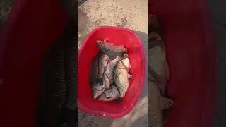 Рыбалка 