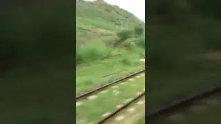 TRAIN LOVERS ❤️ Beautiful curve by Train between Rawalpindi and Jehlum