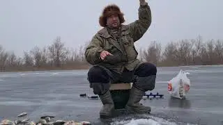 Никольское, Цыпа, окунь.7 января 2021 г.