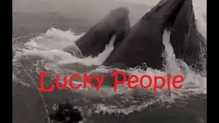 Lucky People Compilation (Lucky Moments) DDOF