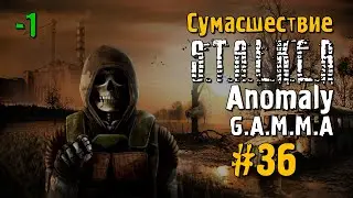 S.T.A.L.K.E.R ANOMALY G.A.M.M.A #36 Прохождение
