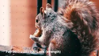 LUT Utility by Color Grading Central Test in FCP X