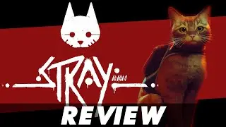 Is Stray Trash or Treasure?