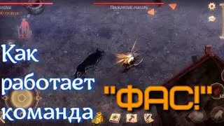 Грим соул. СКИЛЛ лютоволка Команда "ФАС!"