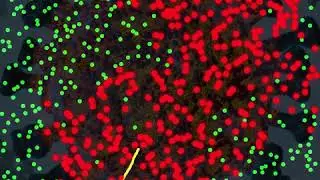 virus corona propagation speed exponential