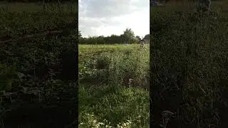 Что делаем в деревне, когда жарко #деревенскийсундучок