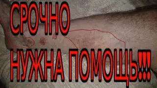 Помогите пожалуйста! Срочно нужна ваша помощь!