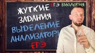 Жуткие задания | Выделение и анализаторы | ЕГЭ БИОЛОГИЯ