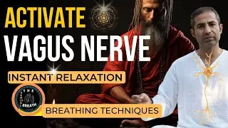 INSTANT RELAXATION 🧘 3 Vagus Nerve Breathing Techniques 🌊 The School of Breath