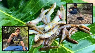 जंगलातील सर्वात लहान मासा | प्लास्टिक Bottle चा वापर करून पकडले मासे | Unique Fishing technique