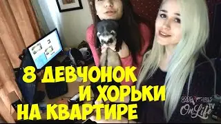 Ужасное видео. Хорьки.