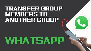 How To Transfer Group Members To Another Group On Whatsapp 2024