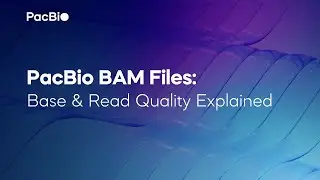 PacBio BAM Files: Base & Read Quality Explained (CCS, DeepConsensus, HiFi)