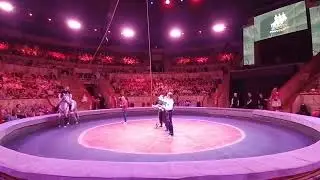 Открытая репетиция братьев Запашных в Большом Ленинградском цирке. Конная группа.
