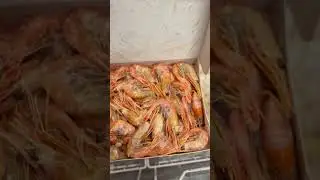 Креветка северная                       телеграмм https://t.me/rybakamchatki
