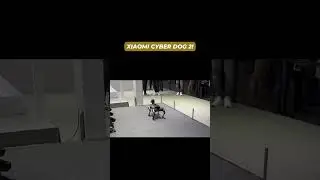 Xiaomi cyber Dog 1! #xiaomi #cyberdog #mwc2024