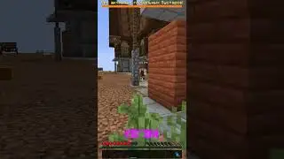 Погнали жениться😳