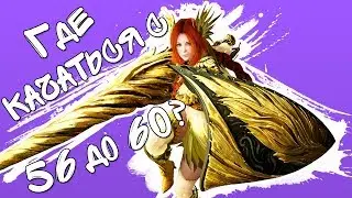 Black Desert - Где качаться с 56 до 60 уровня? | Гайды Black Desert