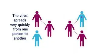 Coronavirus (COVID-19): How YOU Can Stop the Spread