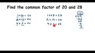Find the common factors of 20 and 28 // how to find common factors