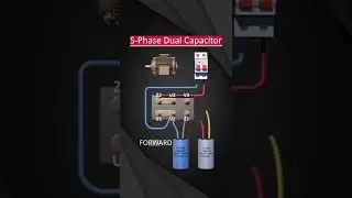 Wiring of forward and reverse rotation of single-phase dual-capacitor motor