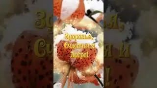 Доброе Утро !!!