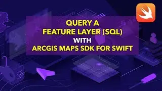 ArcGIS Maps SDK for Swift: Query a feature layer (SQL) overview