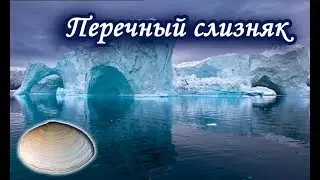 Перечный слизняк. Квест 