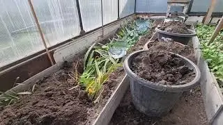 Как и Чем заправляю грядки с осени и собираю шикарные урожаи🥒🫑🍆🍅