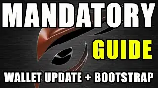 RAPTOREUM Wallet Update + Bootstrap Guide