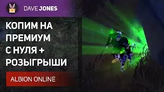 ALBION ONLINE - ПРЕМИУМ С НУЛЯ И РОЗЫГРЫШИ. СТРИМ 6.