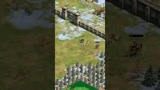 The legends say they still standing there... #aoe2 #rts #ageofempires
