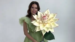 Важное событие! Не пропустите бесплатный вебинар👇