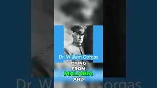 🦟🔥 Amazing Discovery: How Dr. Gorgas Eliminated Mosquitoes & Eradicated Yellow Fever! 💪🏼