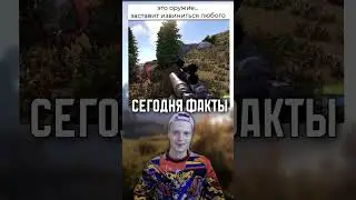 двушка в раст  
