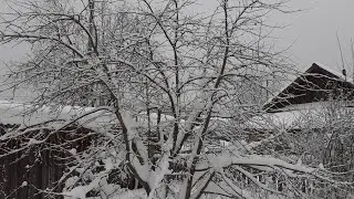 Зимняя тишина.